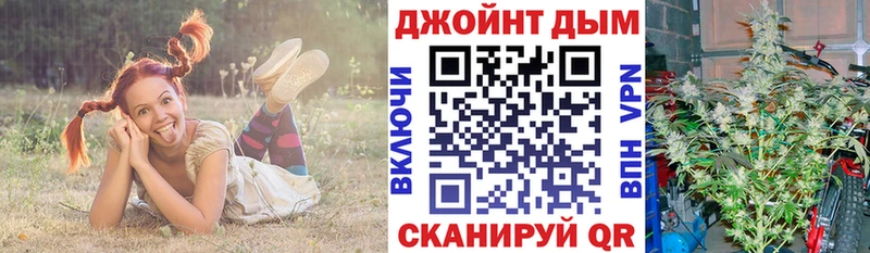 гидра зеркало  Шацк  Бошки марихуана тримм  где можно купить наркотик 